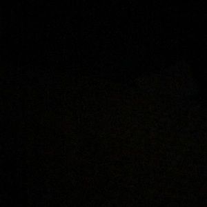 Meet your Posher, Lane